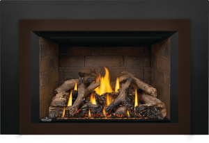 Oakville Gas Fireplace Insert