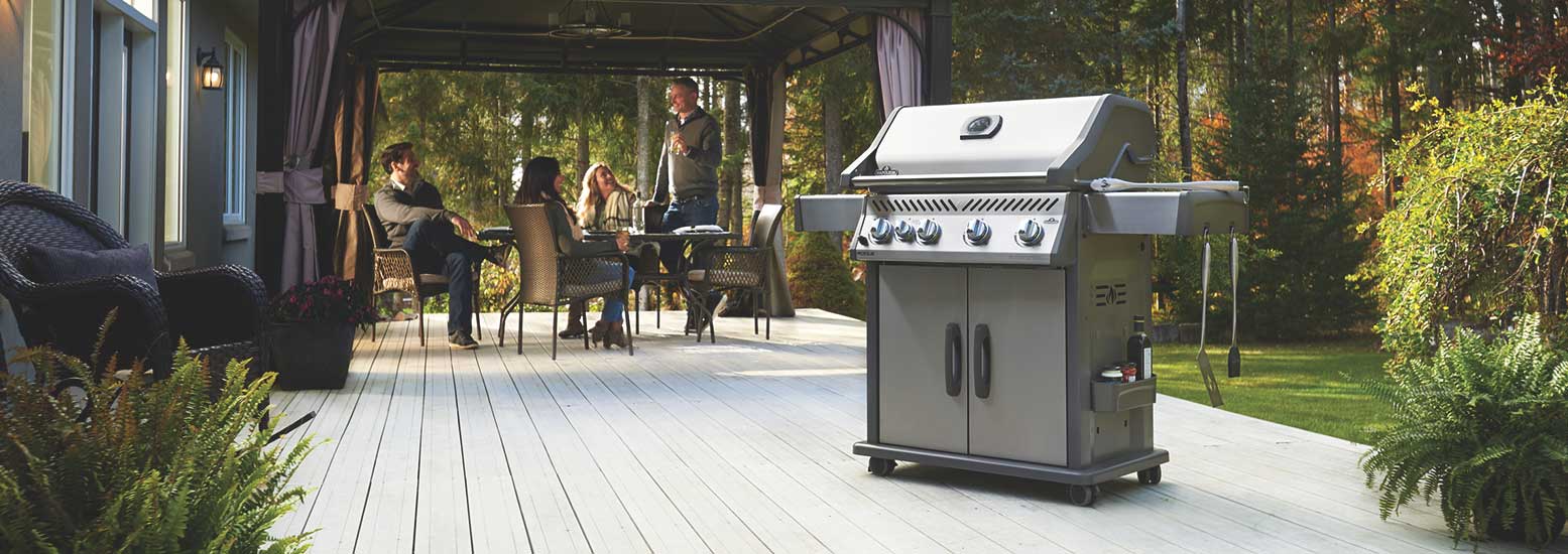 Rogue® Series